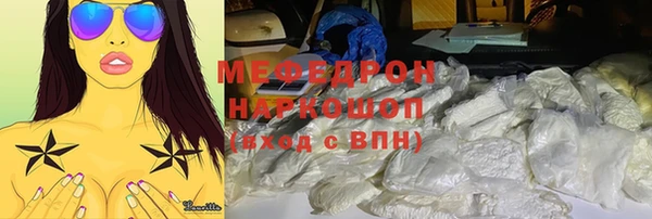 индика Арсеньев