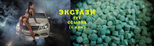 индика Арсеньев