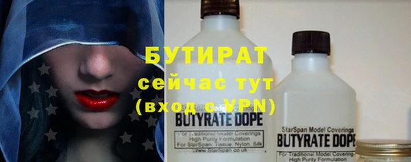 индика Арсеньев