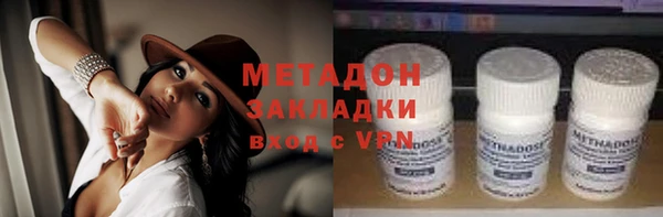 индика Арсеньев
