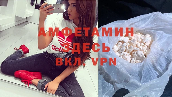 индика Арсеньев