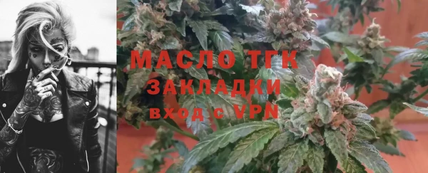 индика Арсеньев