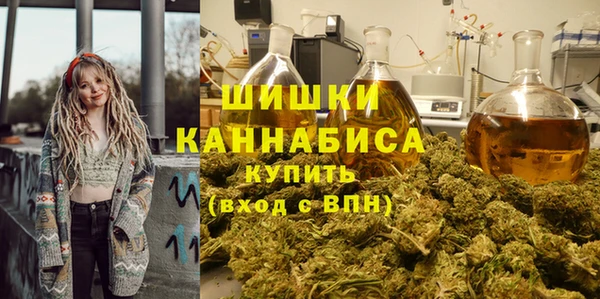 индика Арсеньев