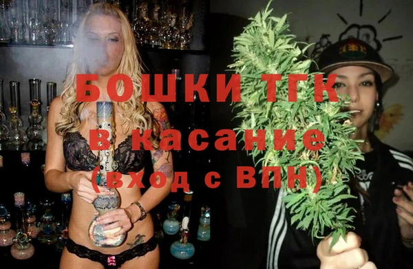 индика Арсеньев