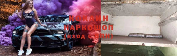 индика Арсеньев