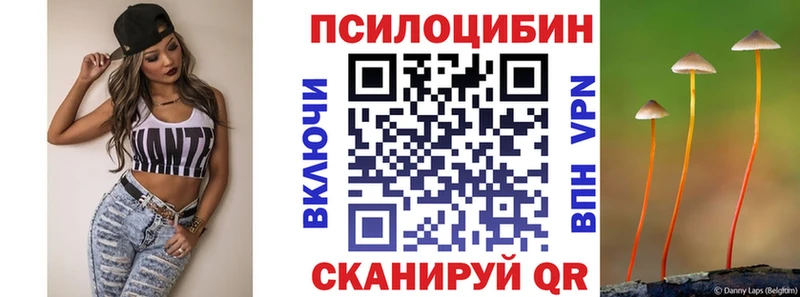 Псилоцибиновые грибы прущие грибы  Белокуриха 